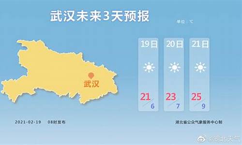 武汉天气预报一周天气15天了查询结果是多少_武汉天气 预报15天