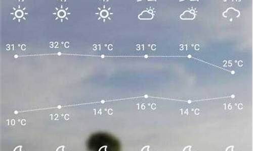 叶城天气预报当地15天查询百度_叶城天气预报当地15天查询