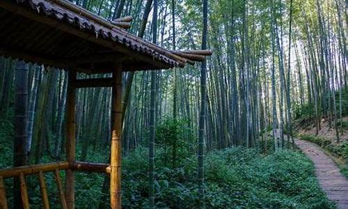 蜀南竹海天气情况_蜀南竹海天气预报一周