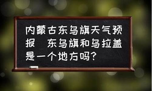 东乌旗天气预报15天查询_东乌旗天气预报